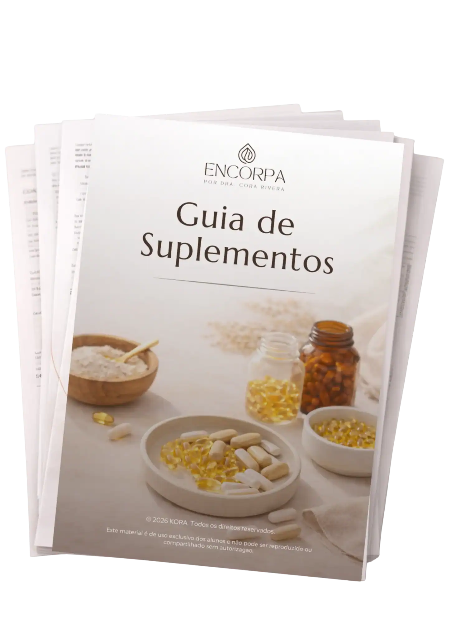 Mockup do Guia de Suplementos
